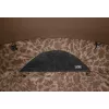 Delphin C3 LUX ClimaControl Carpath Tenda
