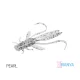 Ninfa Delphin MANYA UVs / 5 pezzi 10.5cm/PEARL