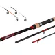 Delphin LEEDER canna da feeder + 2 cime 360cm/100g/3 sezioni