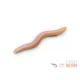 Delphin B! StinxWorm Shrimp Esca in gomma 4cm
