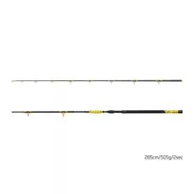   Delphin HAZARD BxG Canna da pesca per siluro di 285cm, 505g, 2 Sezioni