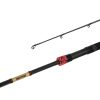 Delphin MURENA POWER 270cm/125g/2 sezioni canna da spinning