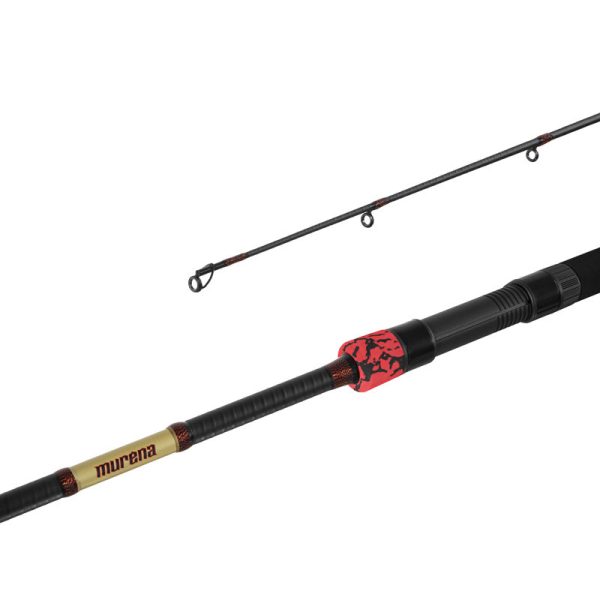 Delphin MURENA POWER 270cm/125g/2 sezioni canna da spinning