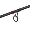 Delphin MURENA POWER 270cm/125g/2 sezioni canna da spinning