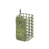 Delphin ECO Splash Pasturatore L/20g
