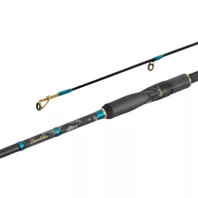 Delphin Zandera NX 210cm 3-21g Canna da spinning in 2 pezzi