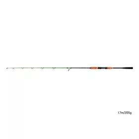   Delphin ARMAGEDON Canna da pesca per siluro da barca di 170cm, 205g