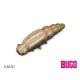 Delphin Bugo Formaggio 4cm 15 pezzi Kakao Esca in plastica