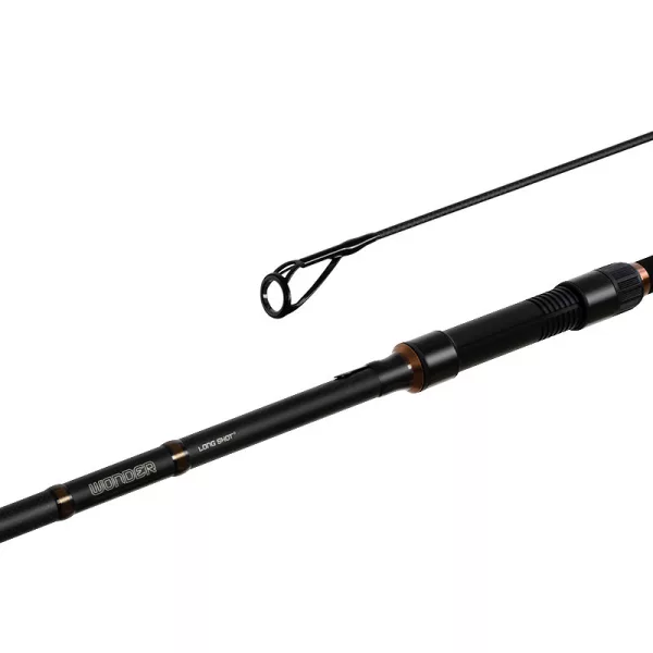 Delphin Wonder LS+ 385cm 3,5lbs Canna da Carpfishing in 2 Pezzi