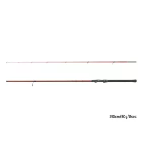 Delphin Amulet Spin 2,10m 30gr Canna da Spinning 2 Pezzi