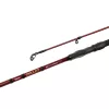 Delphin Amulet Spin 2,40m 30gr Canna da Spinning 2 Pezzi