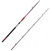 Delphin Danger CatFish Canna da pesca per siluri 2 pezzi 2,55m 350gr