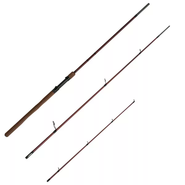 Delphin Magma Legendery Heavy Canna Feeder 3 sezioni 3,6m 150gr
