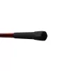 Delphin Amulet Carp Canna da carpfishing 2 pezzi 3,60m 3lbs