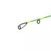 Delphin Dunay Carp Canna da carpfishing 2 pezzi 2,40m 200gr