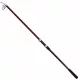 Delphin Thunder GenerationX Canna Telescopica in 5 Pezzi 3,30m
