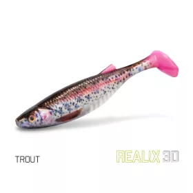 Delphin Realix 3D Trout 13cm Esca in gomma 2pz
