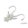 Delphin B! Stinx Nympha Pearl 2,5cm Esca Artificiale 20pz
