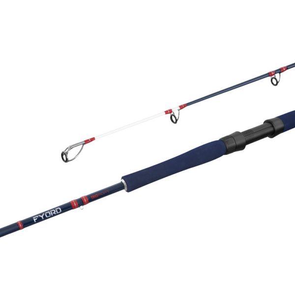 Delphin Fyord BigBoat 2,00m 300-400gr Canna da pesca al siluro 2 Pezzi