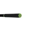 Delphin Dunay Carp 2,70m 200gr Canna da Boiles 2 Pezzi