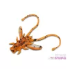 Delphin B! Stinx Nympha Fruity 2,5cm Esca Artificiale 20pz