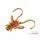 Delphin B! Stinx Nympha Fruity 2,5cm Esca Artificiale 20pz