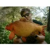 Delphin Carpy Carpa di Peluche 60cm