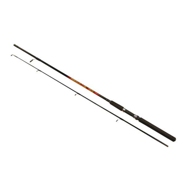 Arno Regulus Rod 1,98m 10-30gr Canna da Spinning 2 Pezzi