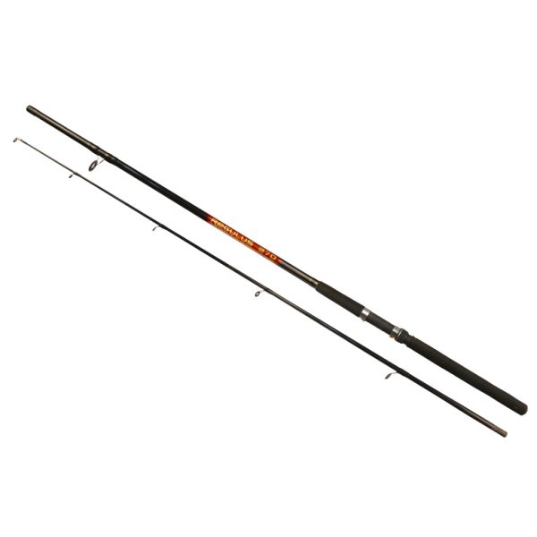 Arno Regulus Rod 2,70m 40-80gr Canna da Spinning 2 Pezzi