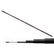 Carp Expert Evolution Power Pole 4m Canna Fissa