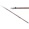 Carp Expert Evolution Power Bolo 4m 5-35gr Canna Bolognese