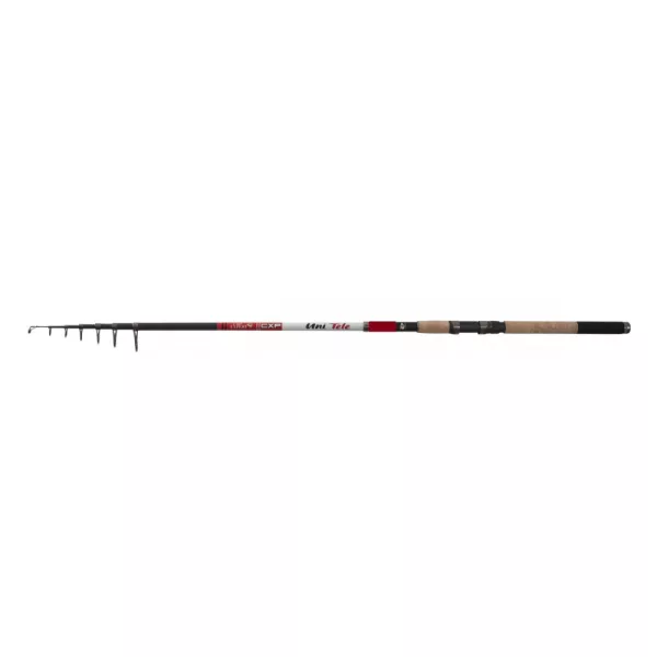 CarpExpert Uni Tele Telescopica 240cm 20-40gr - Canna da Pesca in Sughero EVA