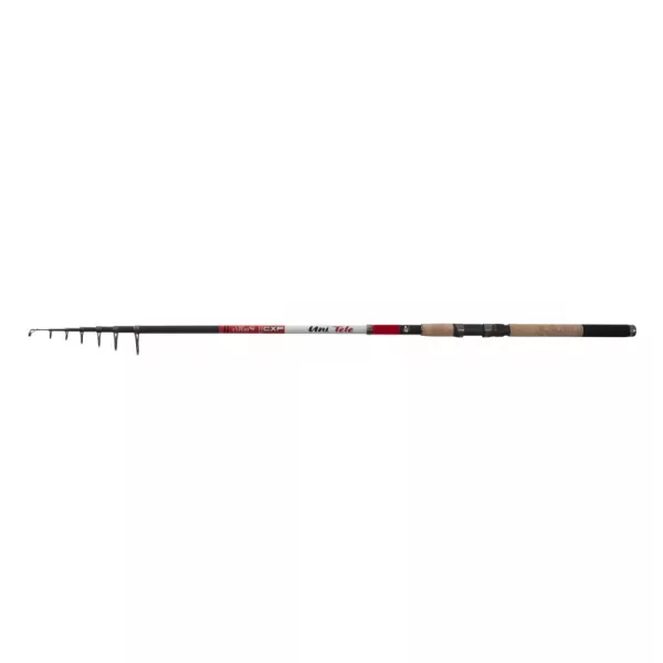 CarpExpert Uni Tele Telescopica 300cm 30-80gr - Canna da pesca in sughero EVA