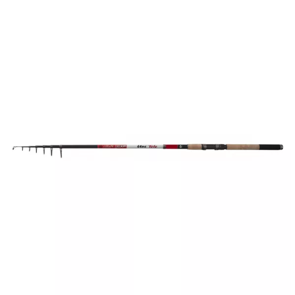 CarpExpert Uni Tele Telescopica 330cm 80-120gr - Canna da pesca in sughero EVA