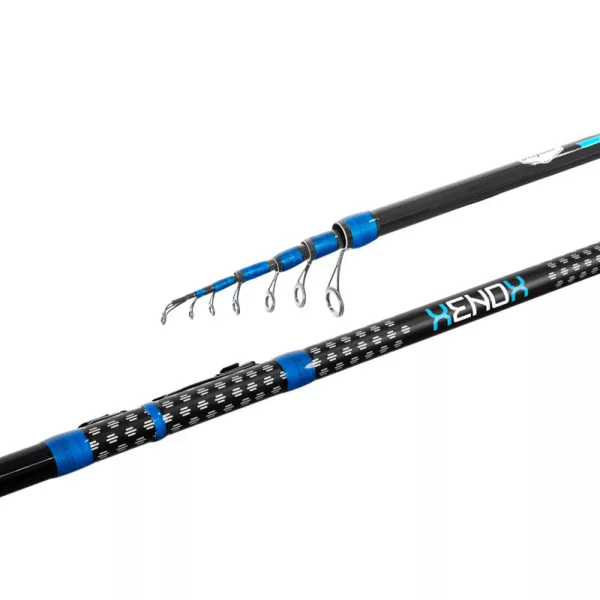 Delphin XENOX 5,00m 30gr 5 Pezzi Canna da Bolognese