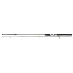 NEVIS Windstorm 300 50-100g Canna da spinning
