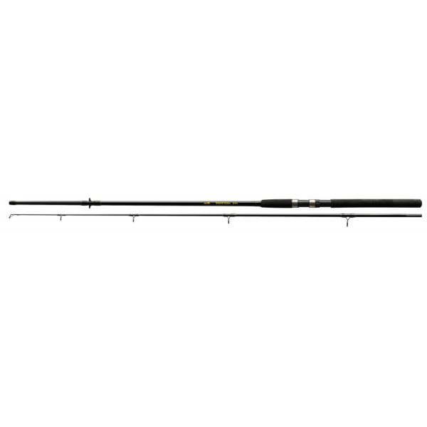 NEVIS Windstorm 300 50-100g Canna da spinning