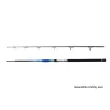 Delphin Hazard 2,85m 500gr 2 pezzi Canna da siluro