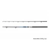 Delphin Hazard 2,85m 500gr 2 pezzi Canna da siluro