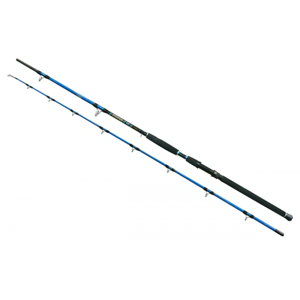 Wizard Cat Pro Power 2 pezzi 600-800gr 3,00m Canna da Pesca al Siluro