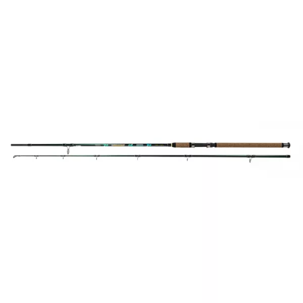Canna da siluro Wizard Catfish Horizont 3,00m 1000-1300gr 2 pezzi