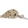 Rapture Pro Hot Buzz Area S LDT 2,5cm 3gr Wobbler