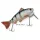 Rapture Dancer Perch wobbler Rutilo Naturale 16cm 60gr Wobbler