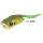 Rapture Popper Frog 6cm 15gr Weed Rana in Gomma