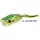 Rapture Popper Frog 6cm 15gr Leop. Weed Rana in Gomma