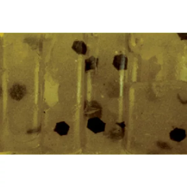 Rapture ULC Alien Craw 2.5cm 0,5gr Watermelon Esca in gomma morbida 12 pz