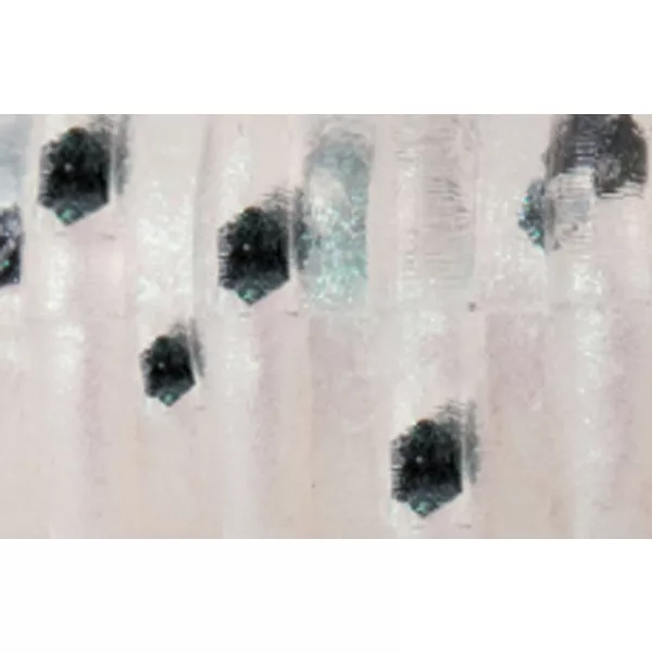 Rapture ULC Alien Craw 2.5cm 0,5gr Pearl Blue Esca in gomma morbida 12 pz