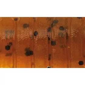   Rapture ULC Cricket 3,3cm 1gr Green Pumpkin BF Esca in Gomma Morbida 8pz