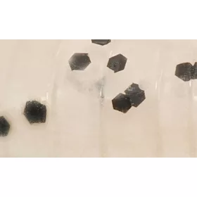   Rapture ULC Cricket 3,3cm 1gr Blu perla Esca in gomma morbida 8pz