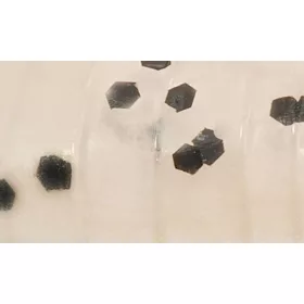   Rapture ULC Water Shrimp 6,2cm 1gr Pearl Blue Esca in gomma morbida 8pz